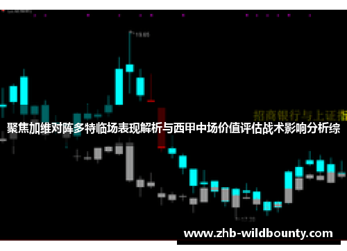 聚焦加维对阵多特临场表现解析与西甲中场价值评估战术影响分析综